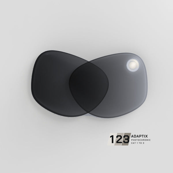 Icon Adaptix 123 photochromic replacement lenses